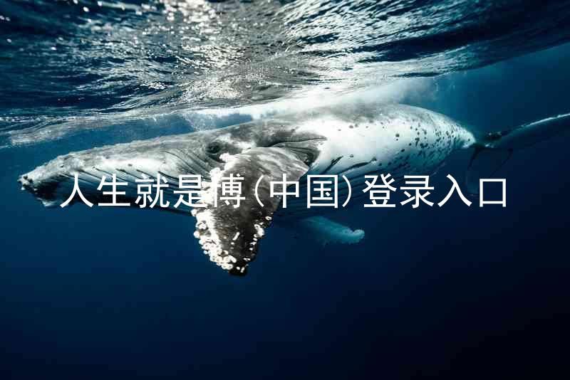 人生就是博(中国)登录入口